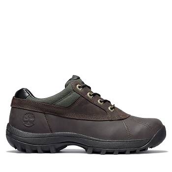 Timberland Férfi Canard Oxford Cipő Barna